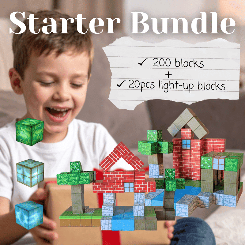 MiniBlox Starter Bundle magnetic blocks set